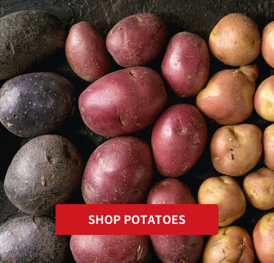 slider-potatoes-mobile